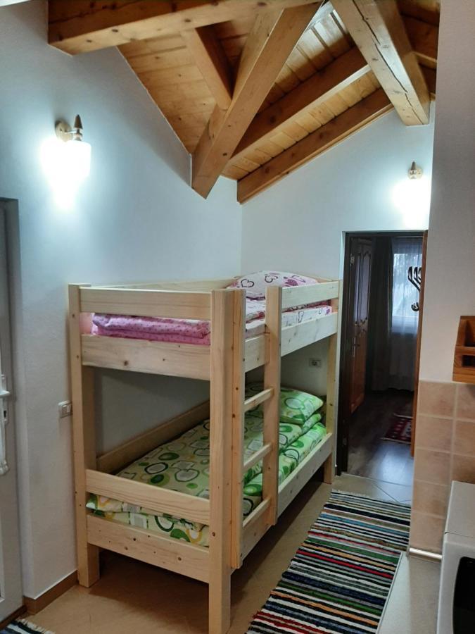 Casuta Pietrosul Rodnei Apartment Borsa  Luaran gambar